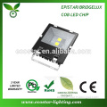 Taiwan Bridgelux cob chip 100lm/w 100W new led flood light